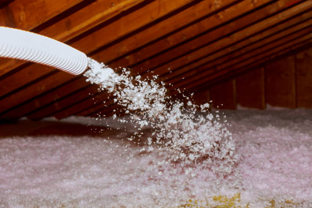 Garage Insulation Installation in Moyock, NC