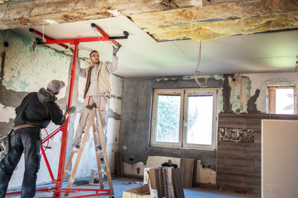 Best Insulation Repair Services  in Moyock, NC