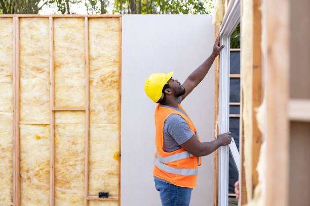 Best Attic Insulation Installation  in Moyock, NC
