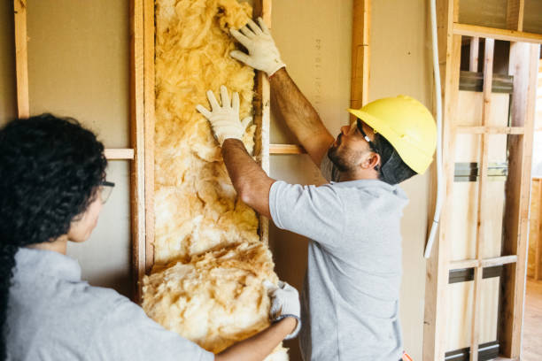 Best Blown-in Insulation  in Moyock, NC