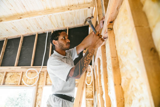 Best Insulation Replacement Services  in Moyock, NC