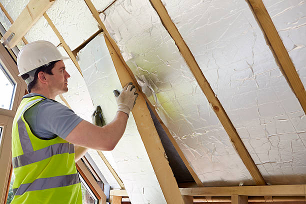 Best Professional Insulation Contractor  in Moyock, NC