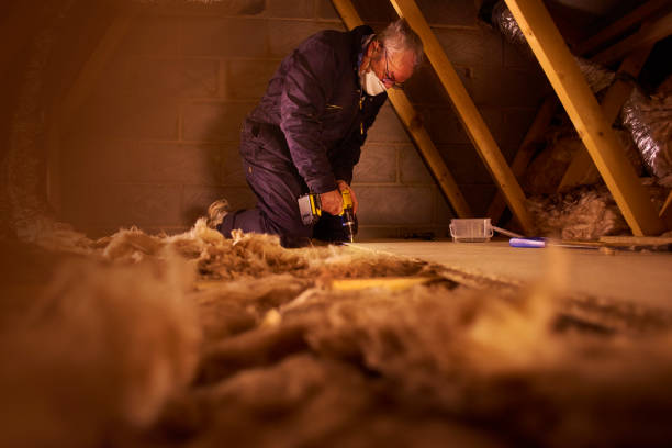 Best Residential Insulation Services  in Moyock, NC