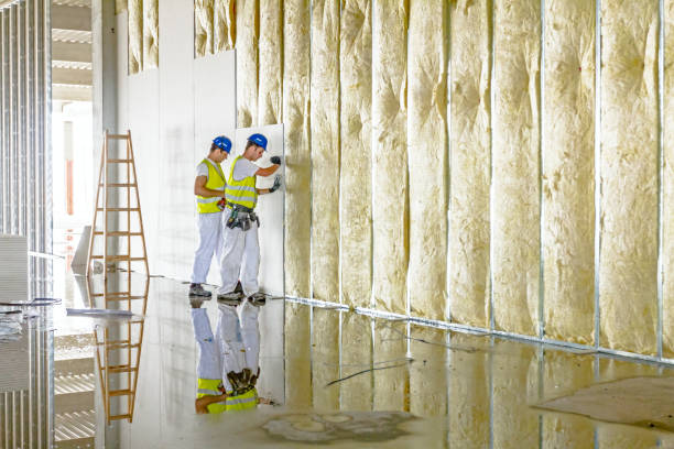Best Insulation Contractors for Homes  in Moyock, NC